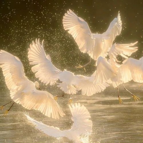 Creating Magical Winter Wonderland Decor